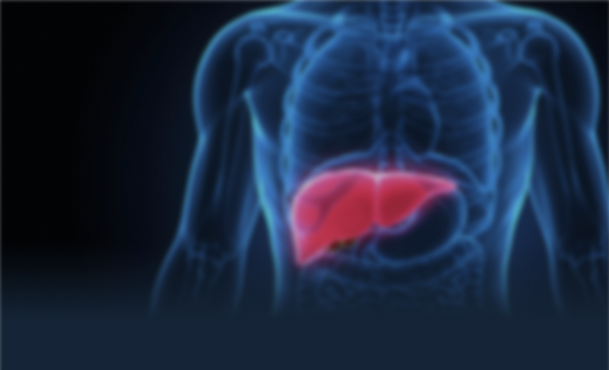 liver